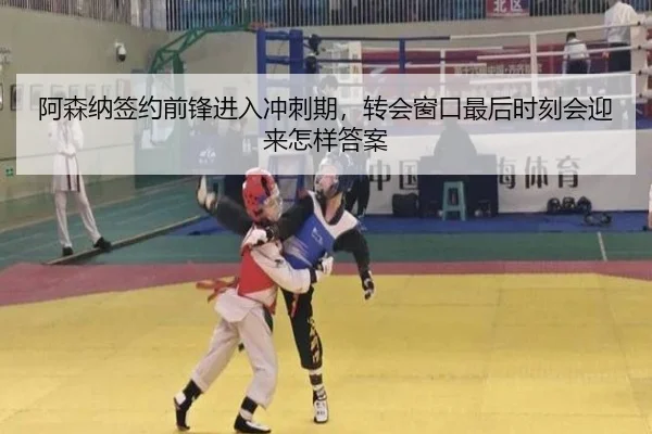 阿森纳签约前锋进入冲刺期，转会窗口最后时刻会迎来怎样答案